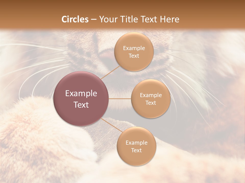 Eye  Attentive PowerPoint Template