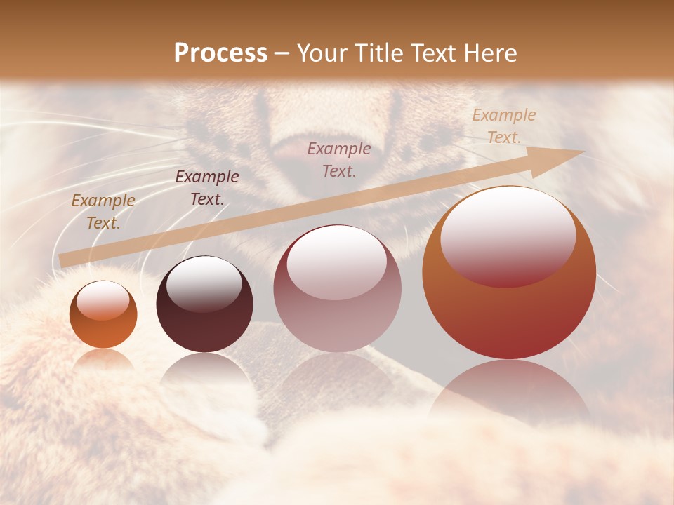 Eye  Attentive PowerPoint Template
