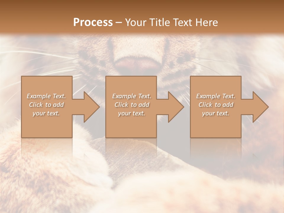 Eye  Attentive PowerPoint Template