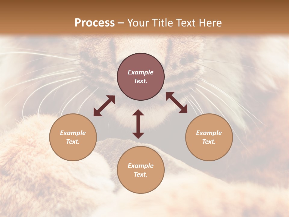 Eye  Attentive PowerPoint Template