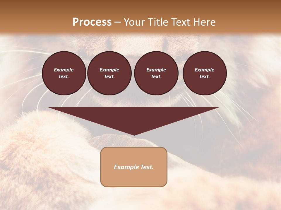 Eye  Attentive PowerPoint Template