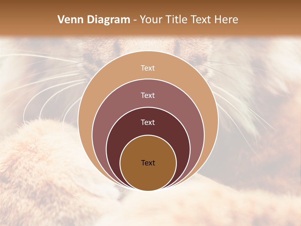 Eye  Attentive PowerPoint Template