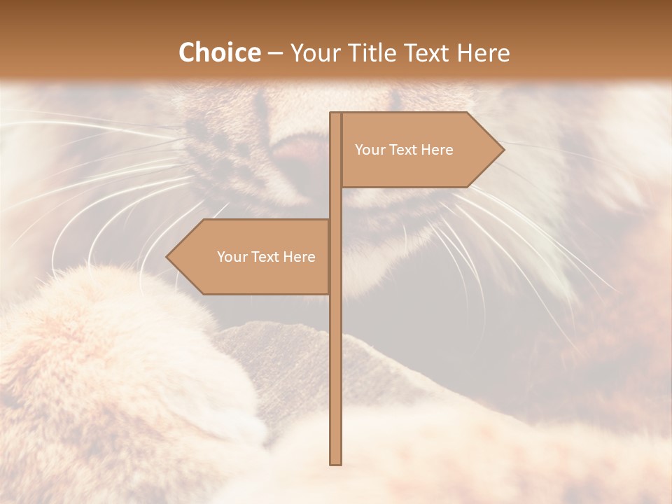 Eye  Attentive PowerPoint Template