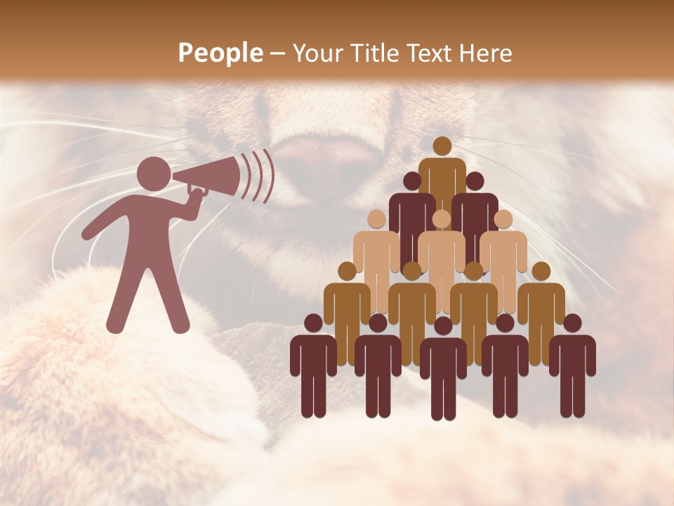 Eye  Attentive PowerPoint Template