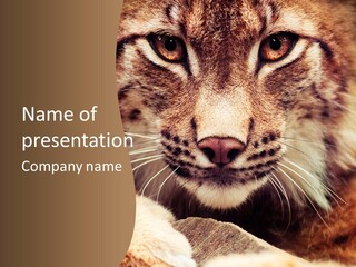 Noses Jungle Attentive PowerPoint Template