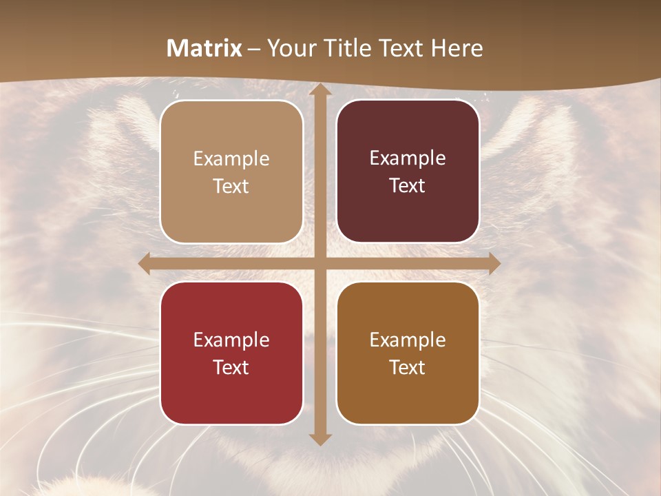 Noses Jungle Attentive PowerPoint Template