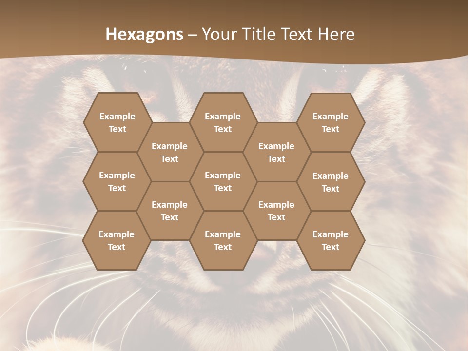 Noses Jungle Attentive PowerPoint Template