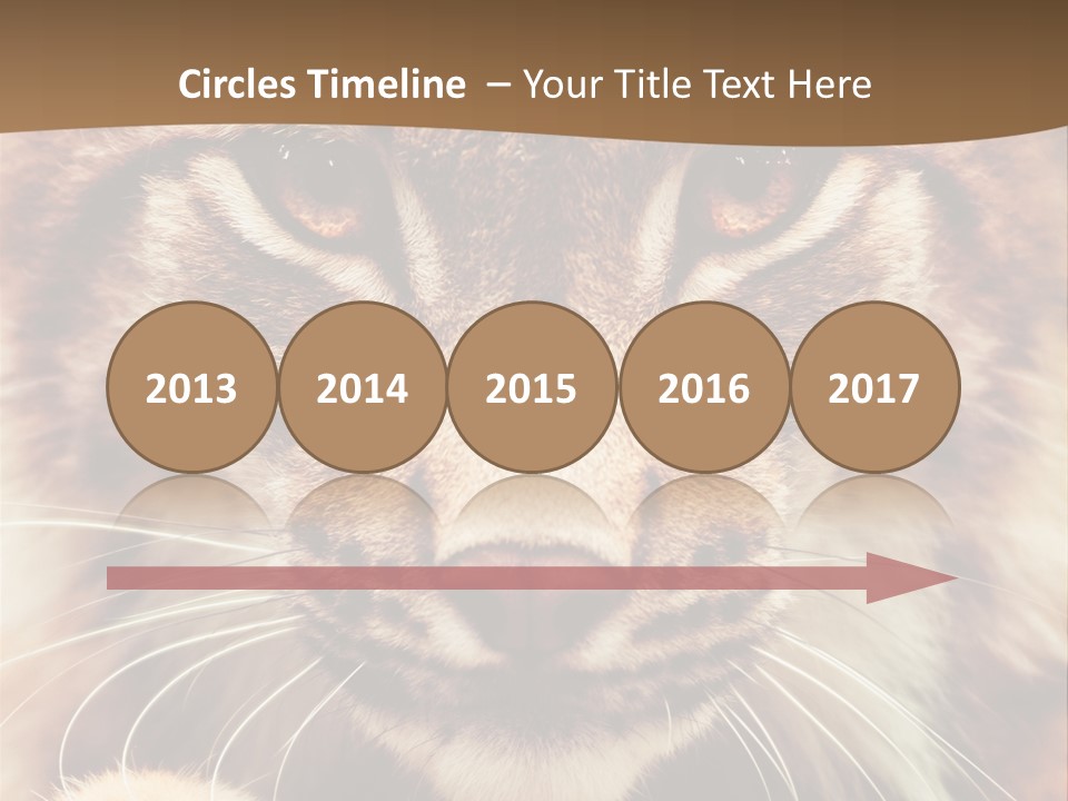 Noses Jungle Attentive PowerPoint Template