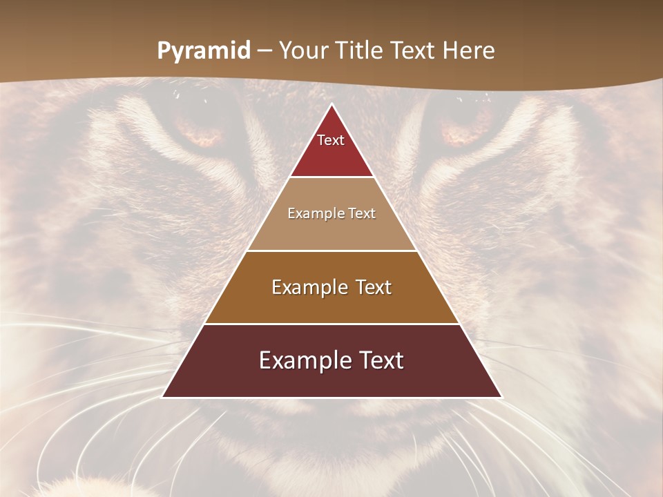 Noses Jungle Attentive PowerPoint Template