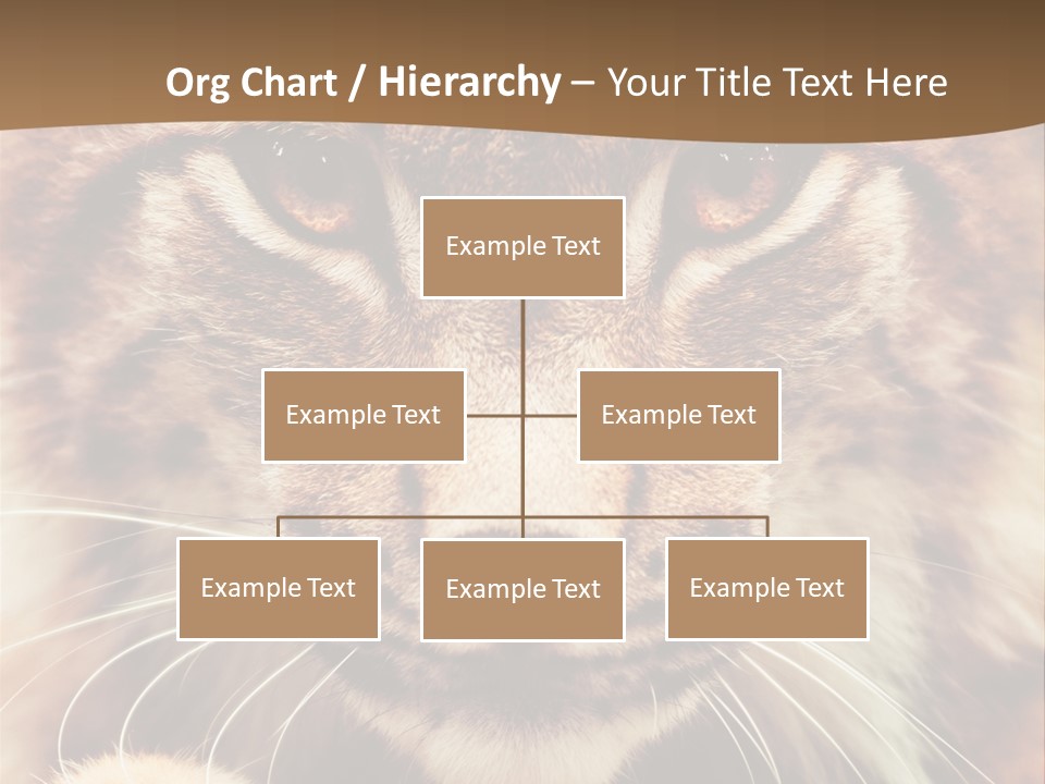 Noses Jungle Attentive PowerPoint Template