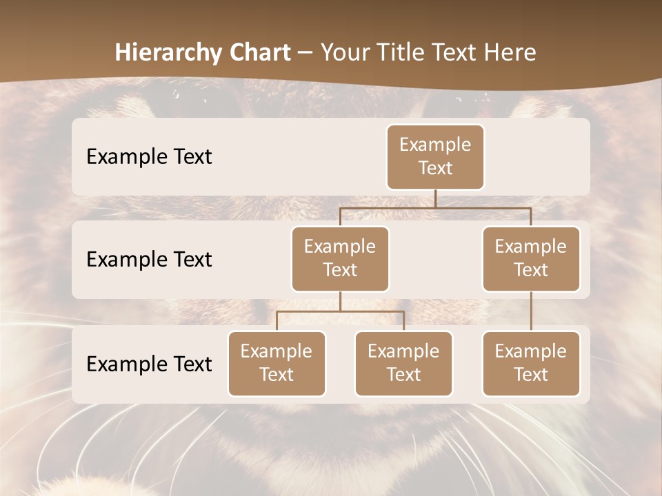 Noses Jungle Attentive PowerPoint Template