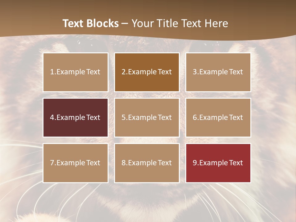 Noses Jungle Attentive PowerPoint Template