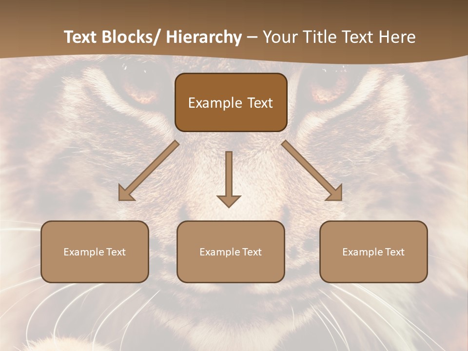 Noses Jungle Attentive PowerPoint Template