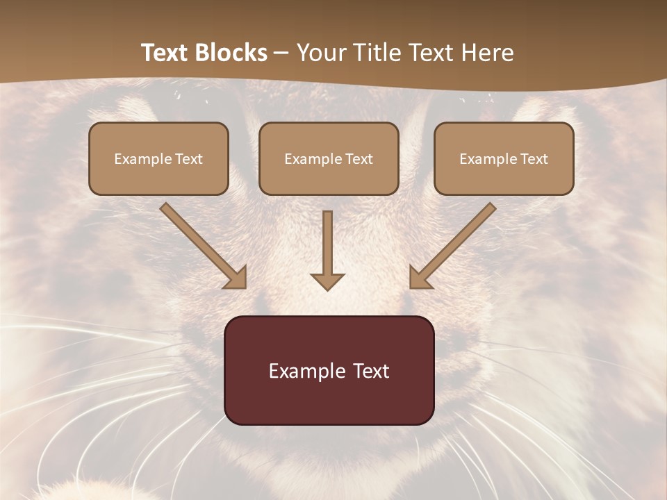 Noses Jungle Attentive PowerPoint Template