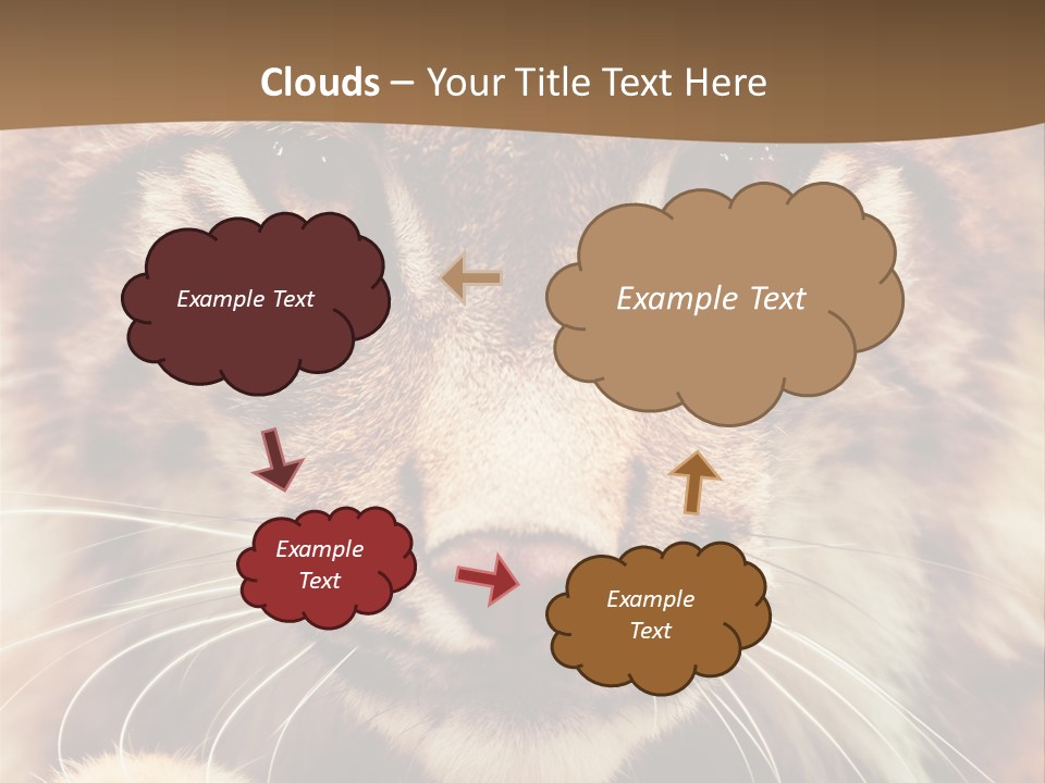 Noses Jungle Attentive PowerPoint Template