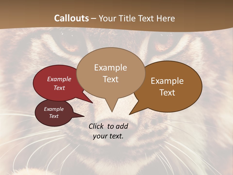 Noses Jungle Attentive PowerPoint Template