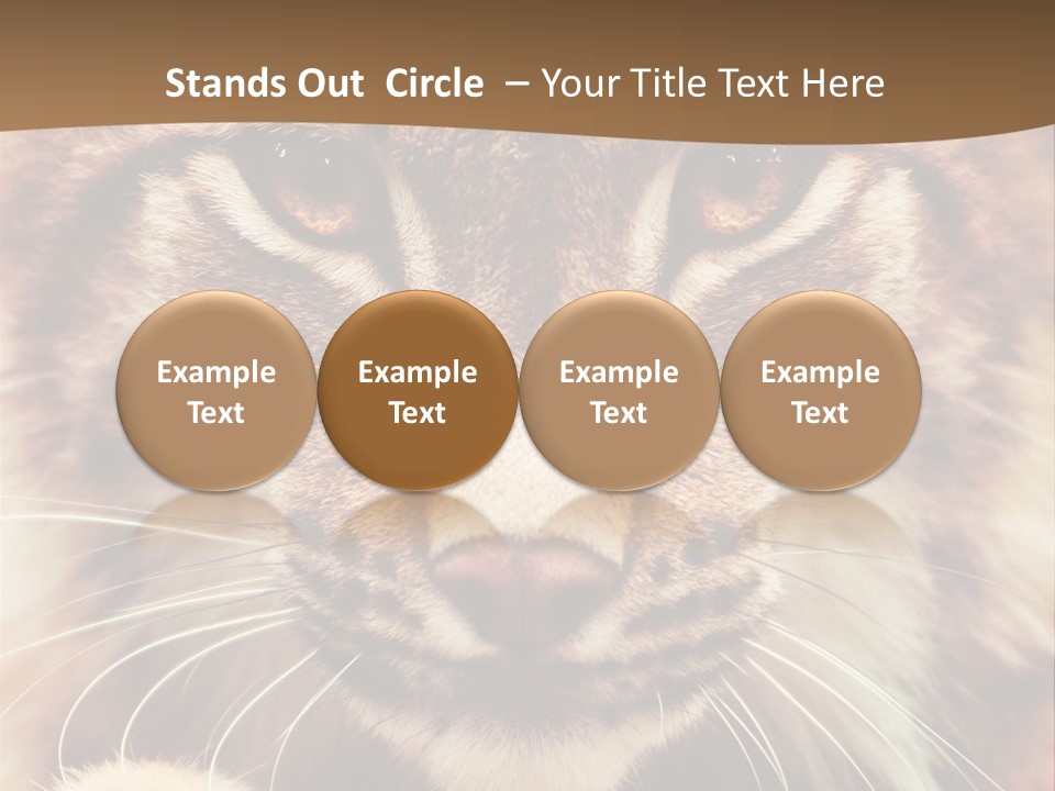 Noses Jungle Attentive PowerPoint Template