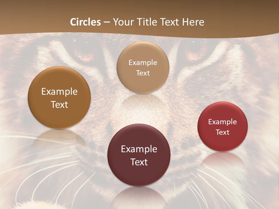 Noses Jungle Attentive PowerPoint Template