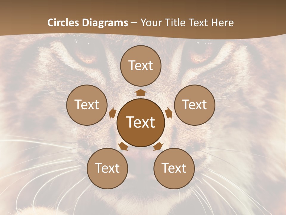 Noses Jungle Attentive PowerPoint Template