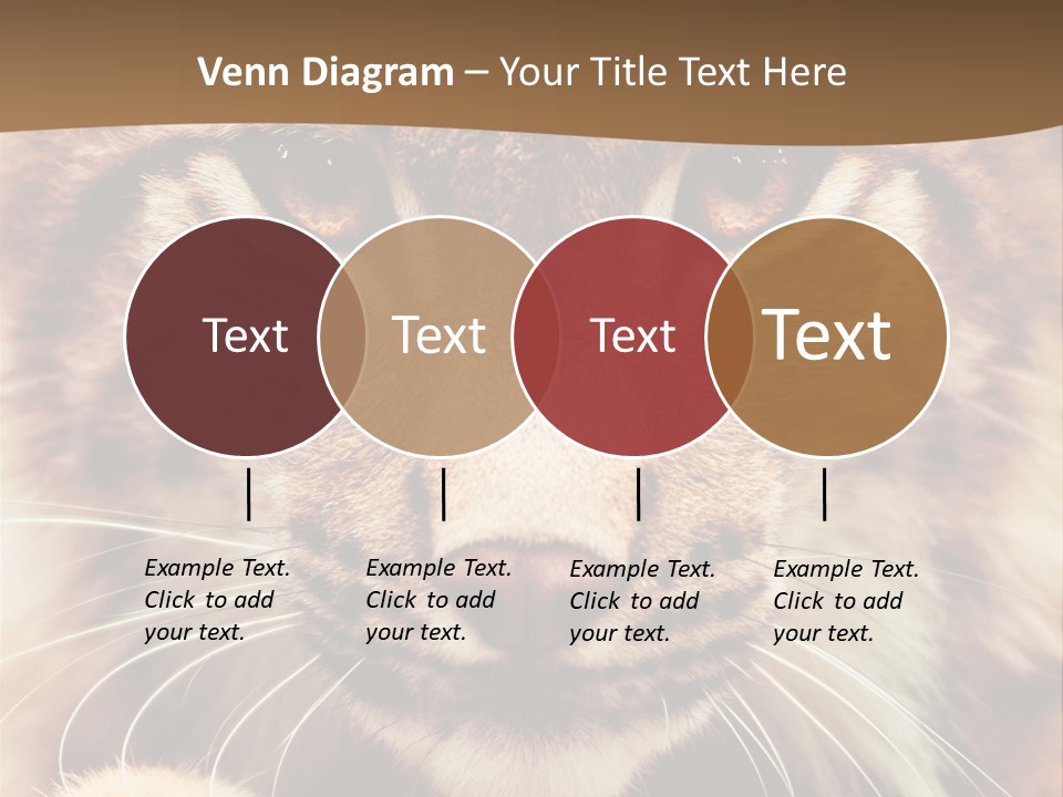 Noses Jungle Attentive PowerPoint Template