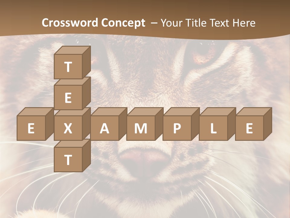 Noses Jungle Attentive PowerPoint Template