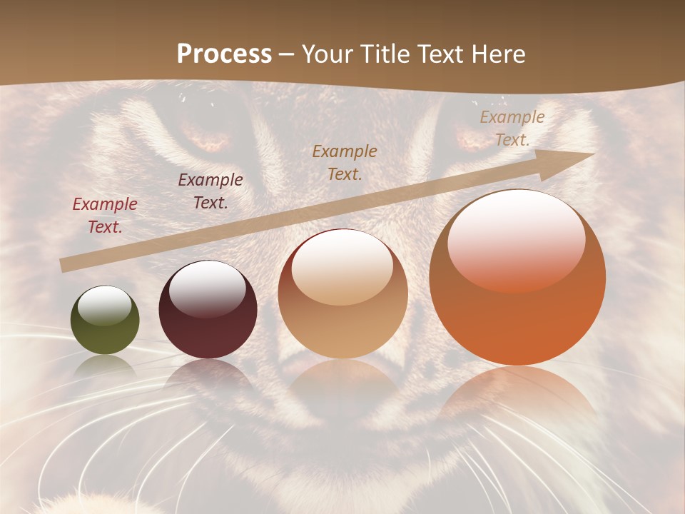 Noses Jungle Attentive PowerPoint Template
