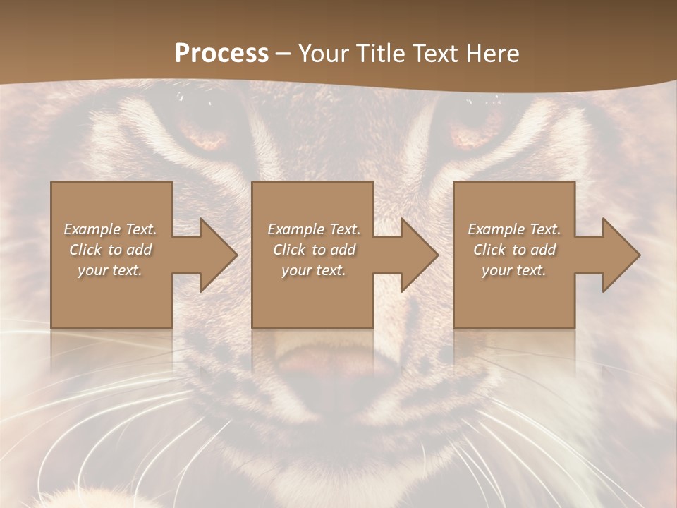 Noses Jungle Attentive PowerPoint Template