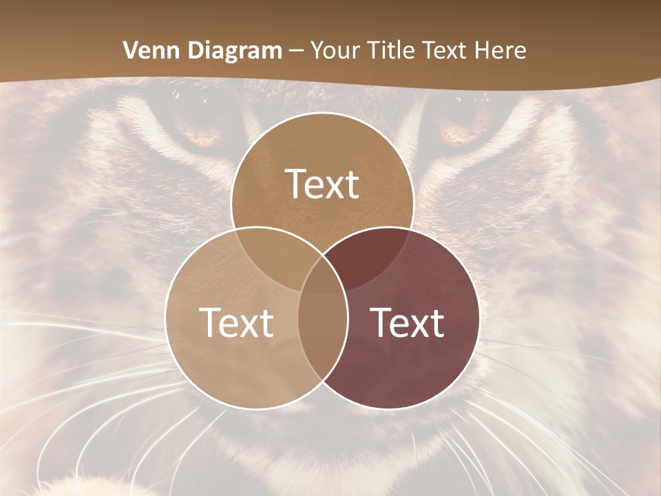 Noses Jungle Attentive PowerPoint Template