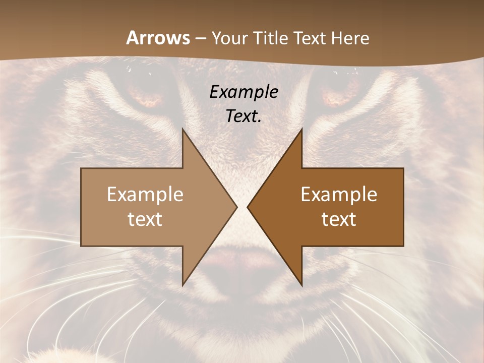 Noses Jungle Attentive PowerPoint Template