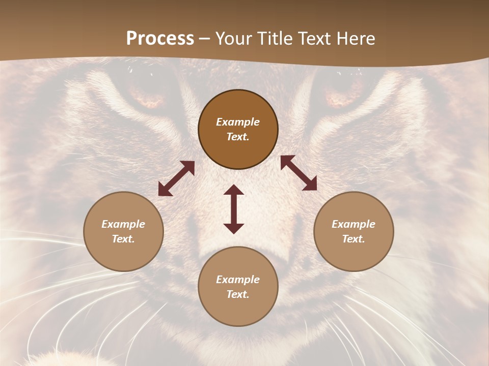 Noses Jungle Attentive PowerPoint Template