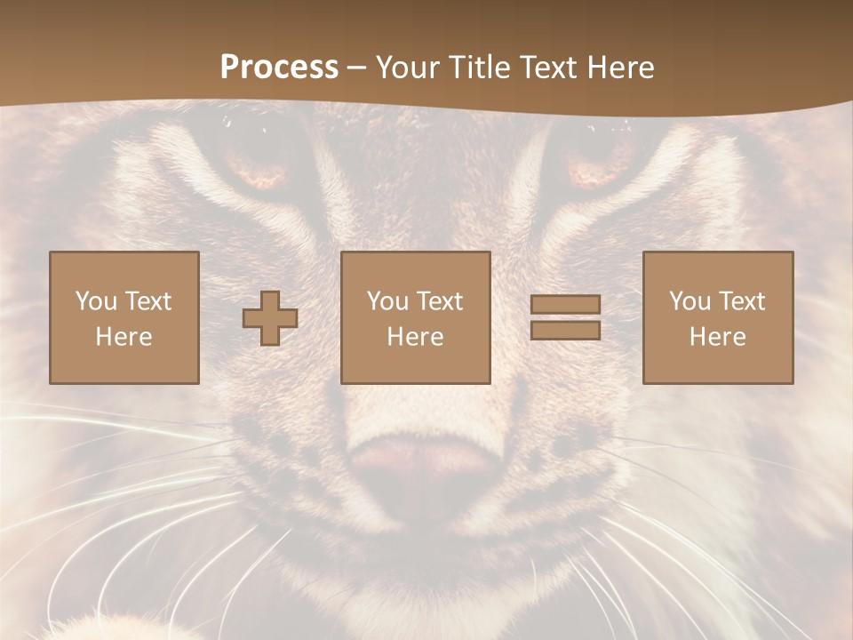 Noses Jungle Attentive PowerPoint Template