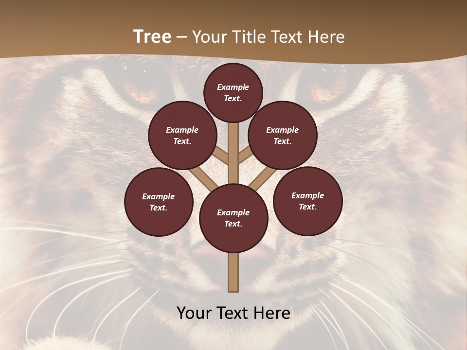 Noses Jungle Attentive PowerPoint Template