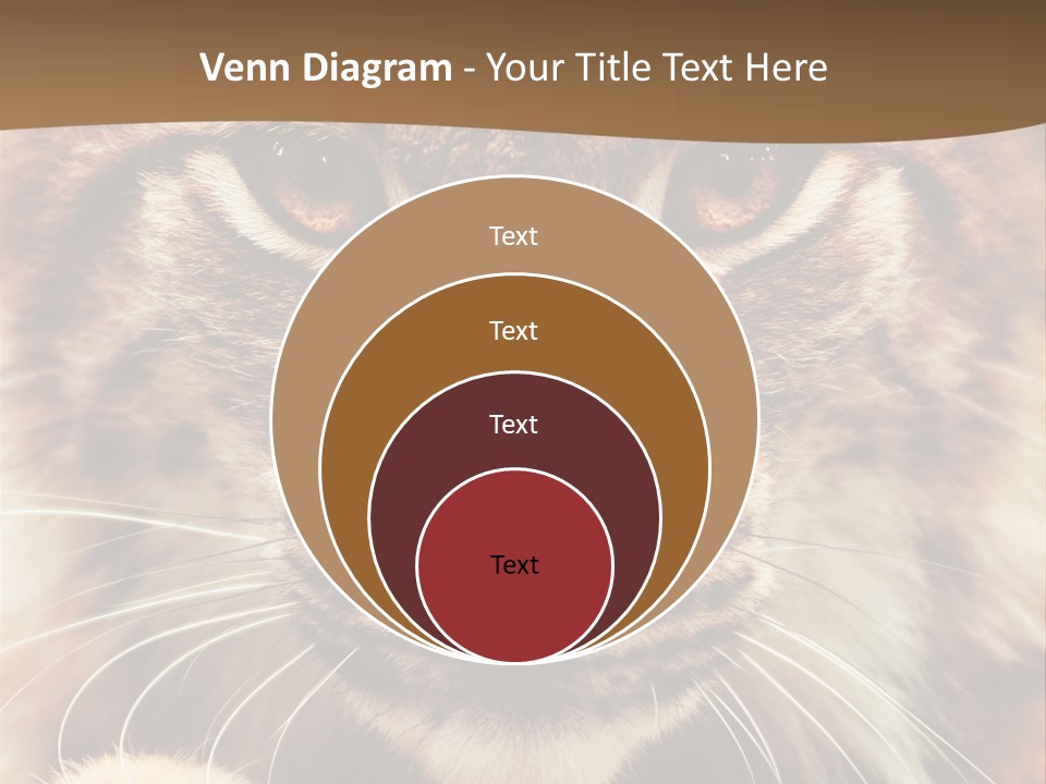 Noses Jungle Attentive PowerPoint Template