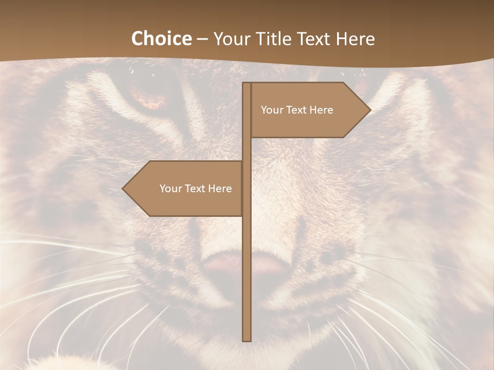 Noses Jungle Attentive PowerPoint Template