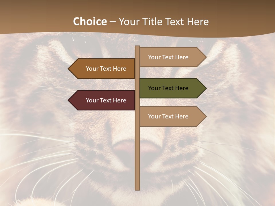 Noses Jungle Attentive PowerPoint Template