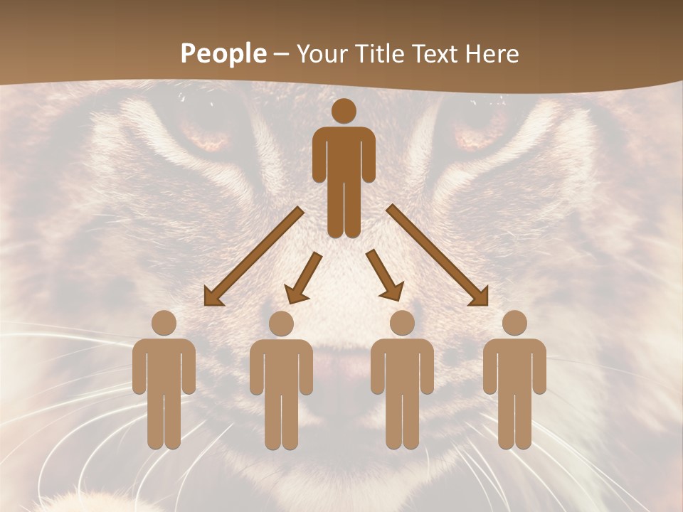 Noses Jungle Attentive PowerPoint Template