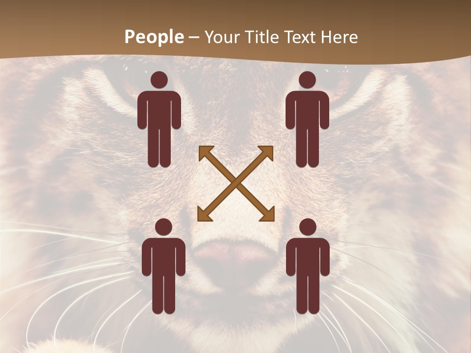 Noses Jungle Attentive PowerPoint Template