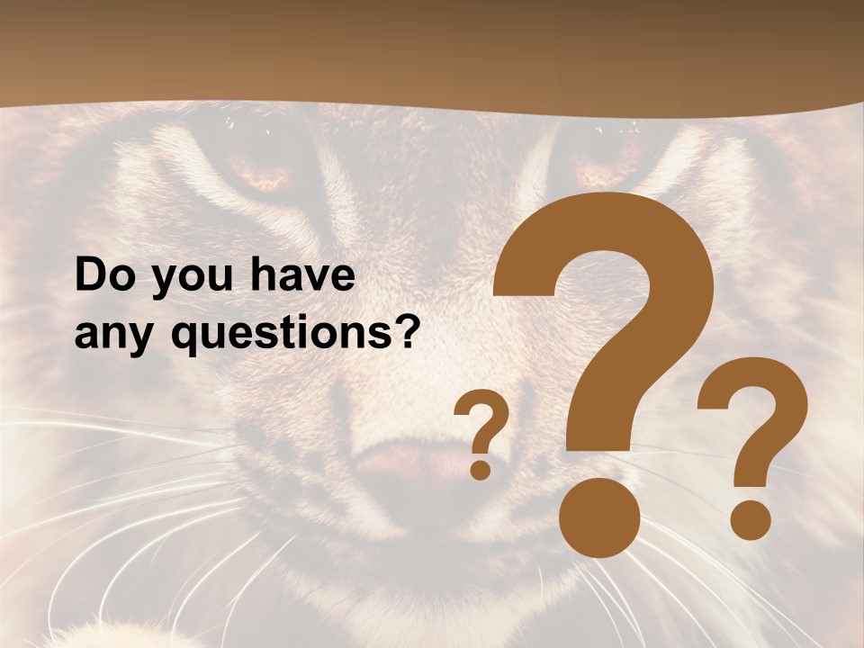 Noses Jungle Attentive PowerPoint Template