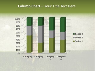 Field Harvest Classic PowerPoint Template