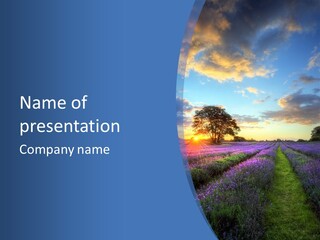 Countryside Color Fields PowerPoint Template
