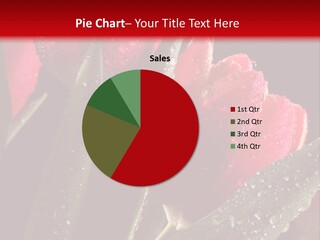 Company Communication Writing PowerPoint Template