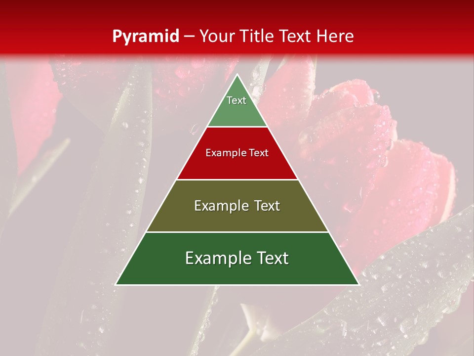 Company Communication Writing PowerPoint Template