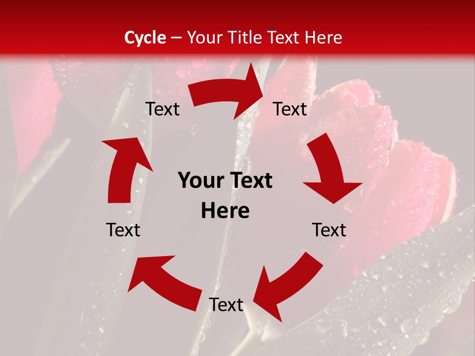 Company Communication Writing PowerPoint Template