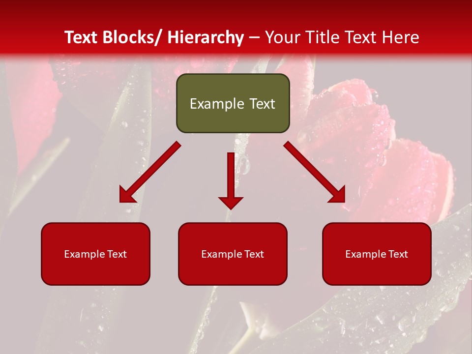 Company Communication Writing PowerPoint Template