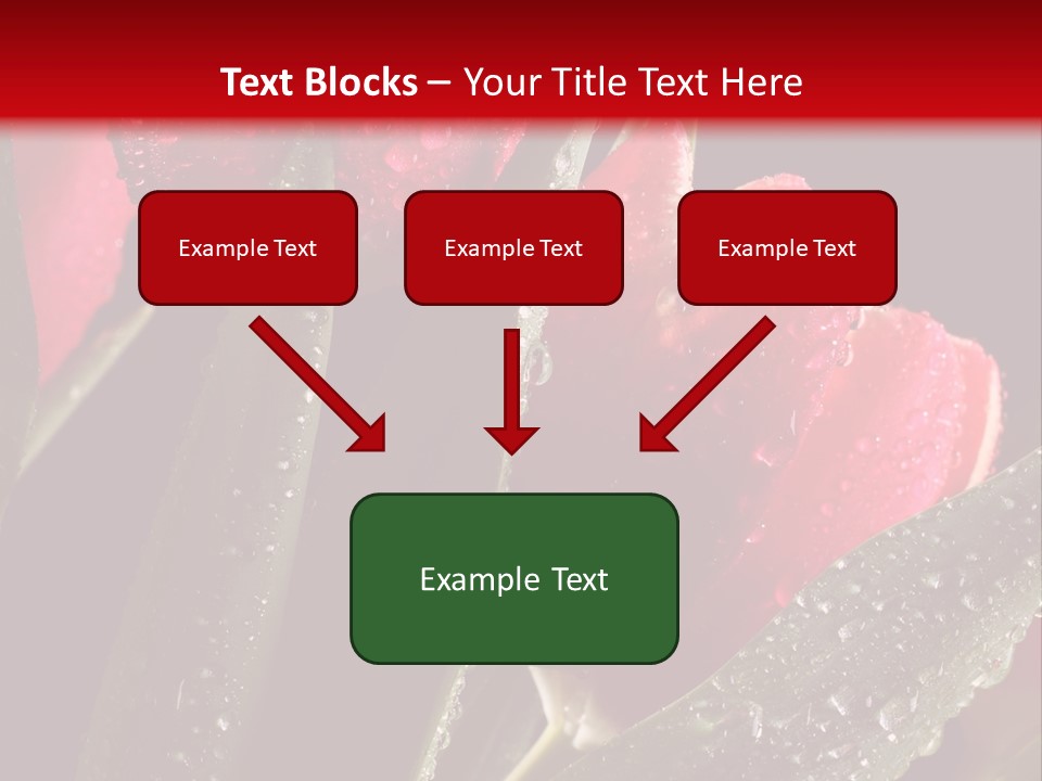 Company Communication Writing PowerPoint Template