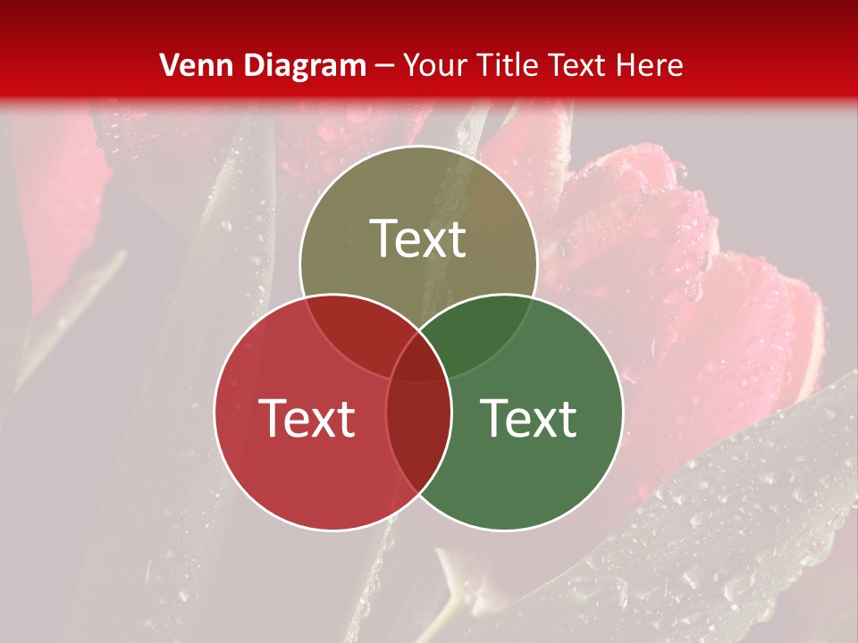 Company Communication Writing PowerPoint Template