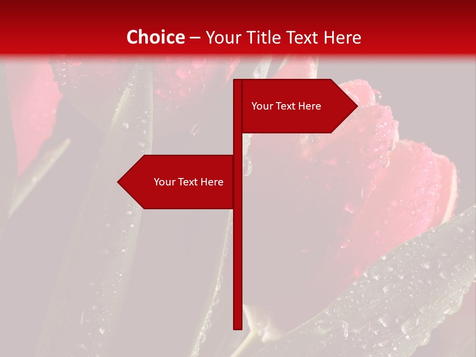Company Communication Writing PowerPoint Template