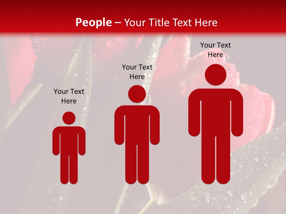 Company Communication Writing PowerPoint Template