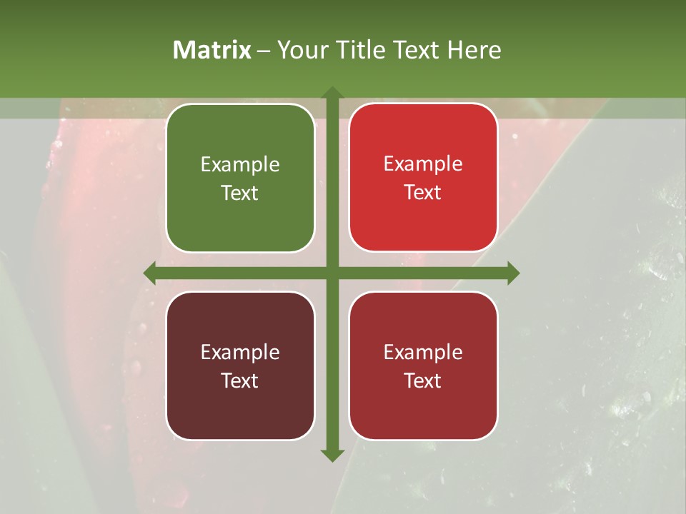 Profe Ional Li Ten Office PowerPoint Template