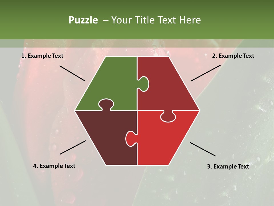 Profe Ional Li Ten Office PowerPoint Template